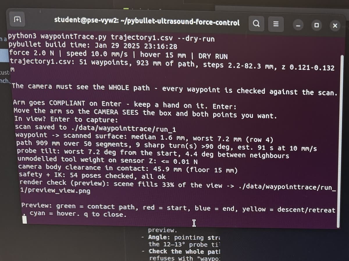 Dry-run safety checks in the terminal